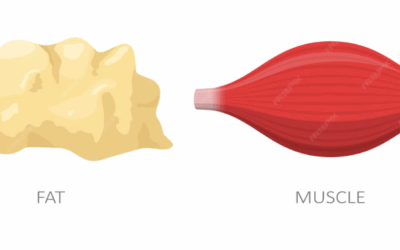 Body Composition Analysis