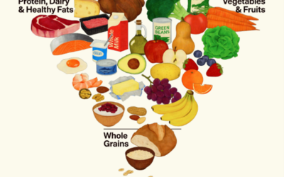 They flipped the food pyramid and we (mostly) agree!